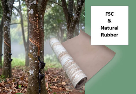 FSC-Certified Yoga Mats: What the Label Means and Why B2B Brands Should Care