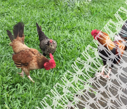 Ventilated Mesh For Multi-terrain Livestock Fencing