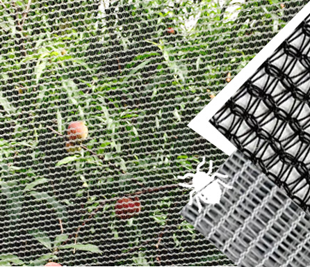 Insect Proof Net