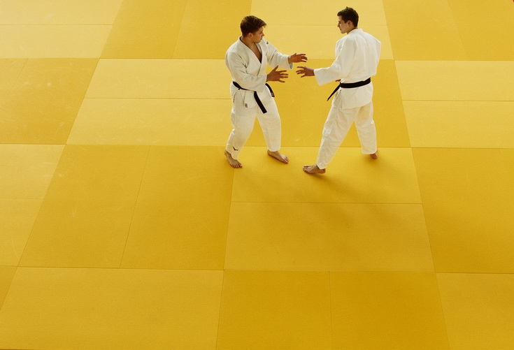 Anti-slip Judo / Wrestling Mat