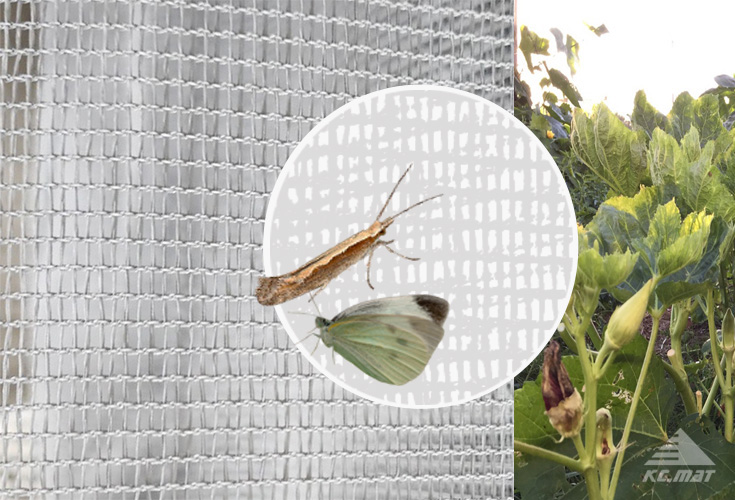 Insect Proof Net