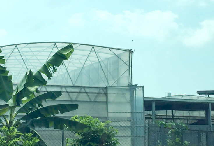 HDPE Farming Greenhouse Sun Shade Net with UV Blockage