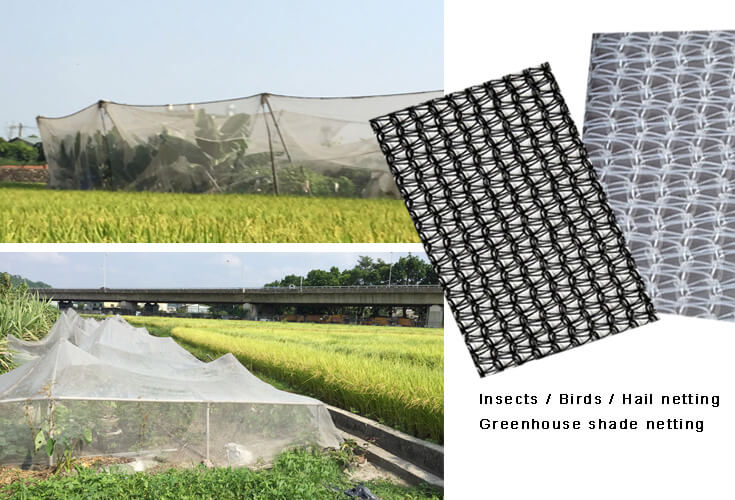 HDPE Farming Greenhouse Sun Shade Net with UV Blockage