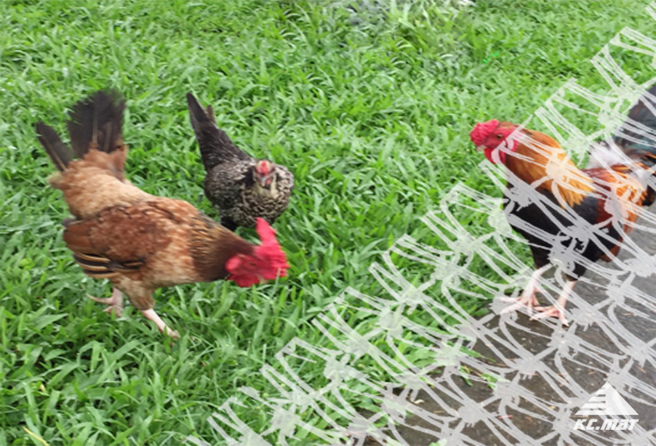 Ventilated Mesh For Multi-terrain Livestock Fencing